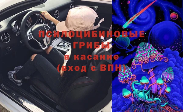 прущие крисы Чекалин