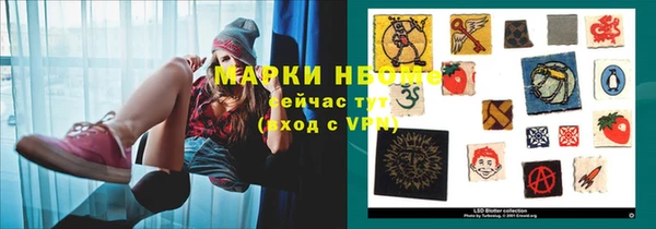 амф Грязовец