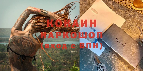 шишки Чердынь