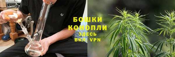 шишки Чердынь
