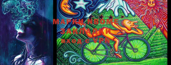 шишки Чердынь