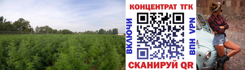 Дистиллят ТГК гашишное масло купить сайты Жиздра